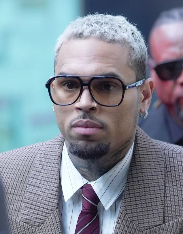 Chris Brown, portrait (Wikimedia Commons contributor, see file page, via Wikimedia Commons)